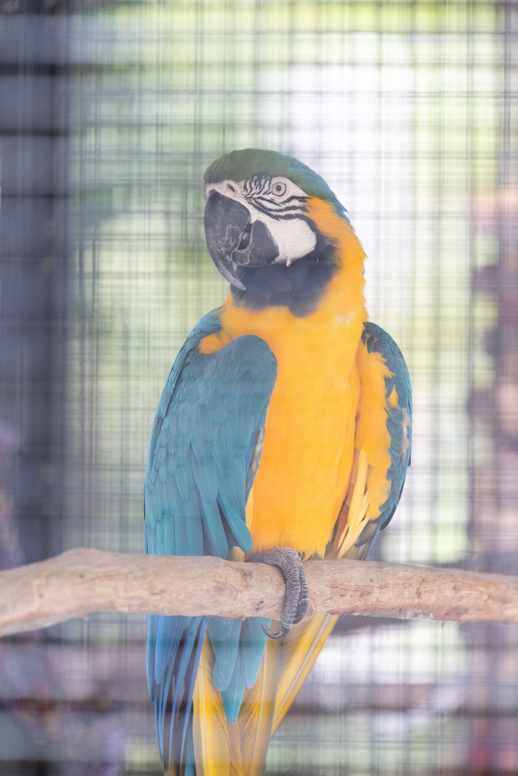 Bird exhibit overview