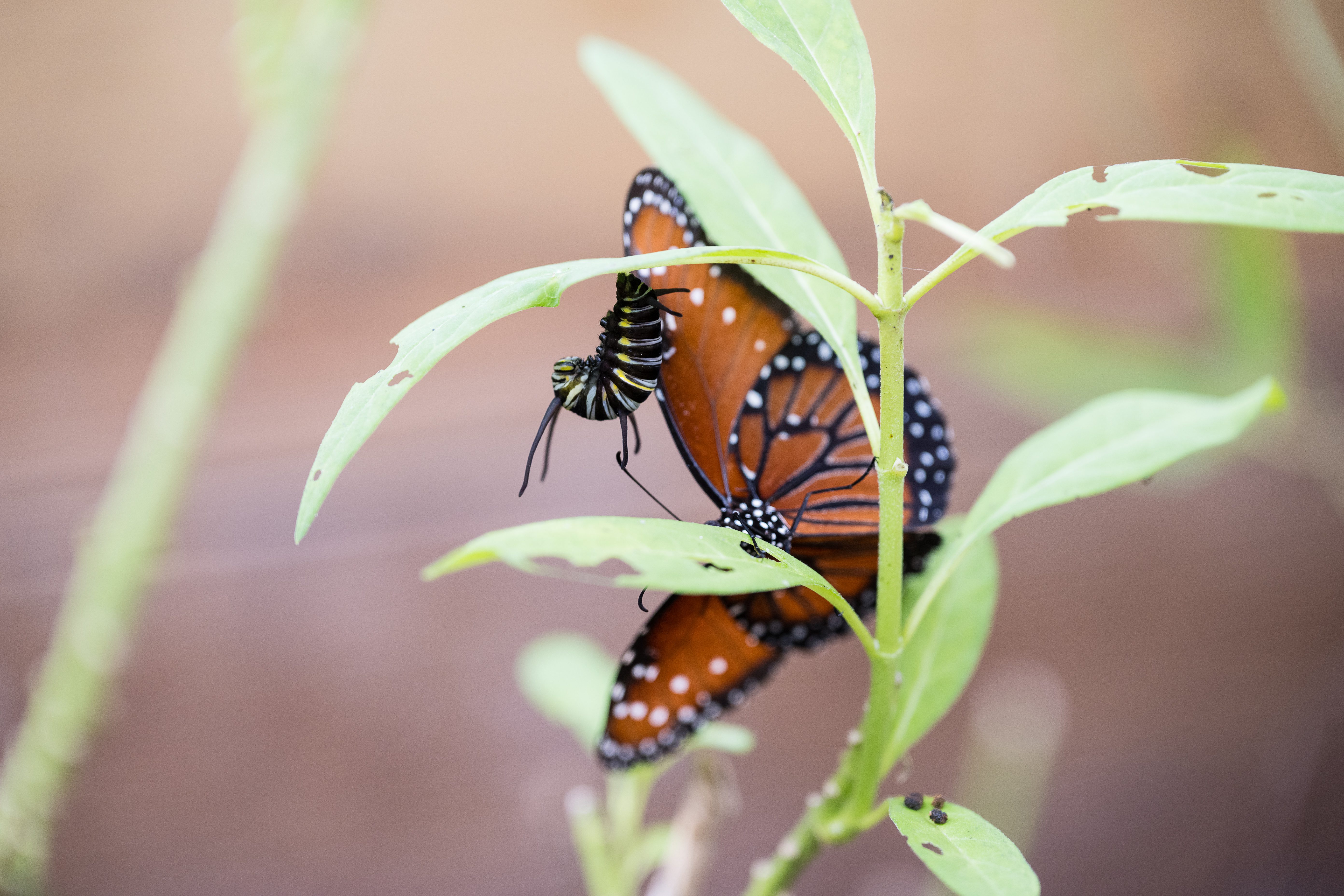 220913-Charleston-Corporate-Photographer-0107