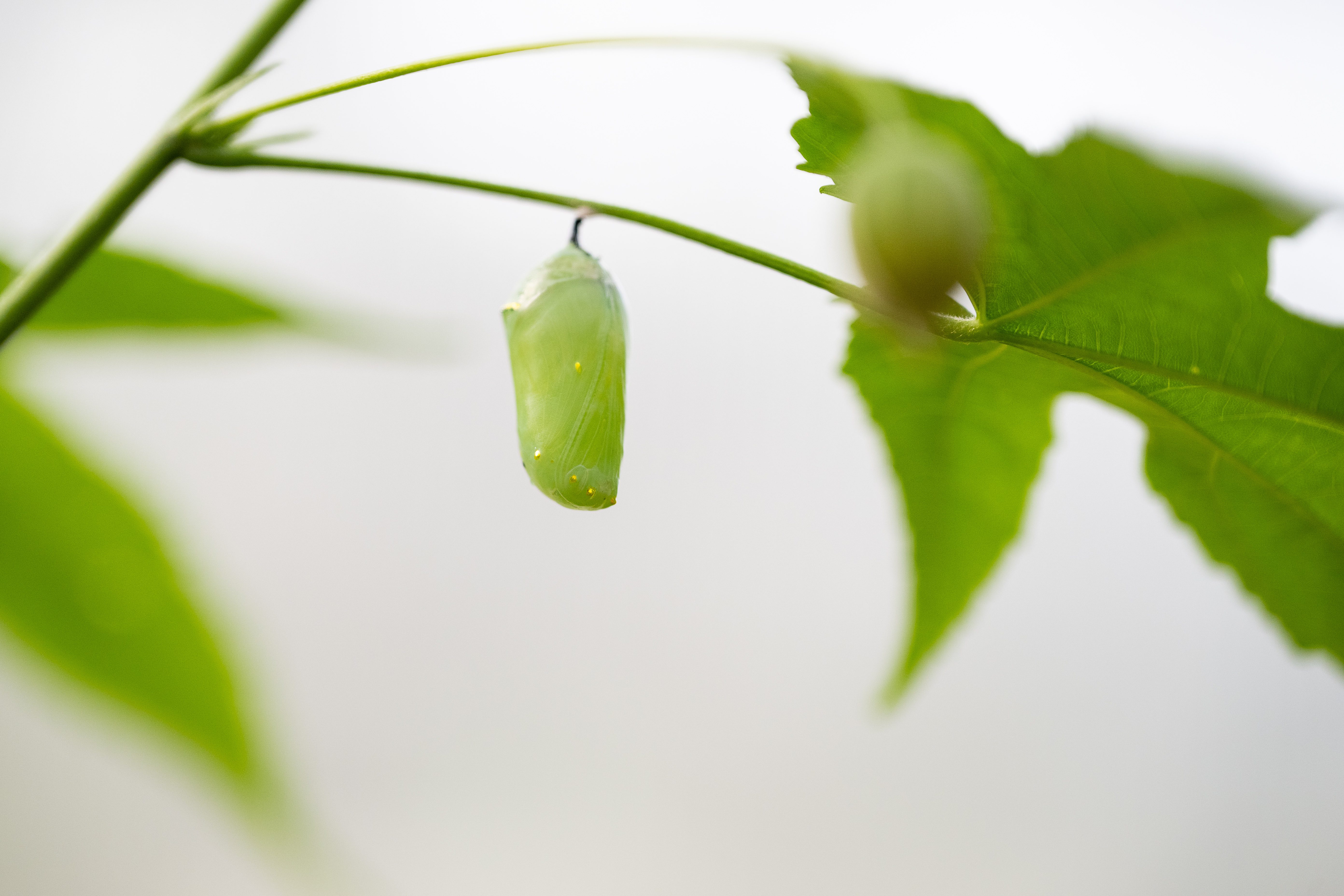 220913-Charleston-Corporate-Photographer-0109