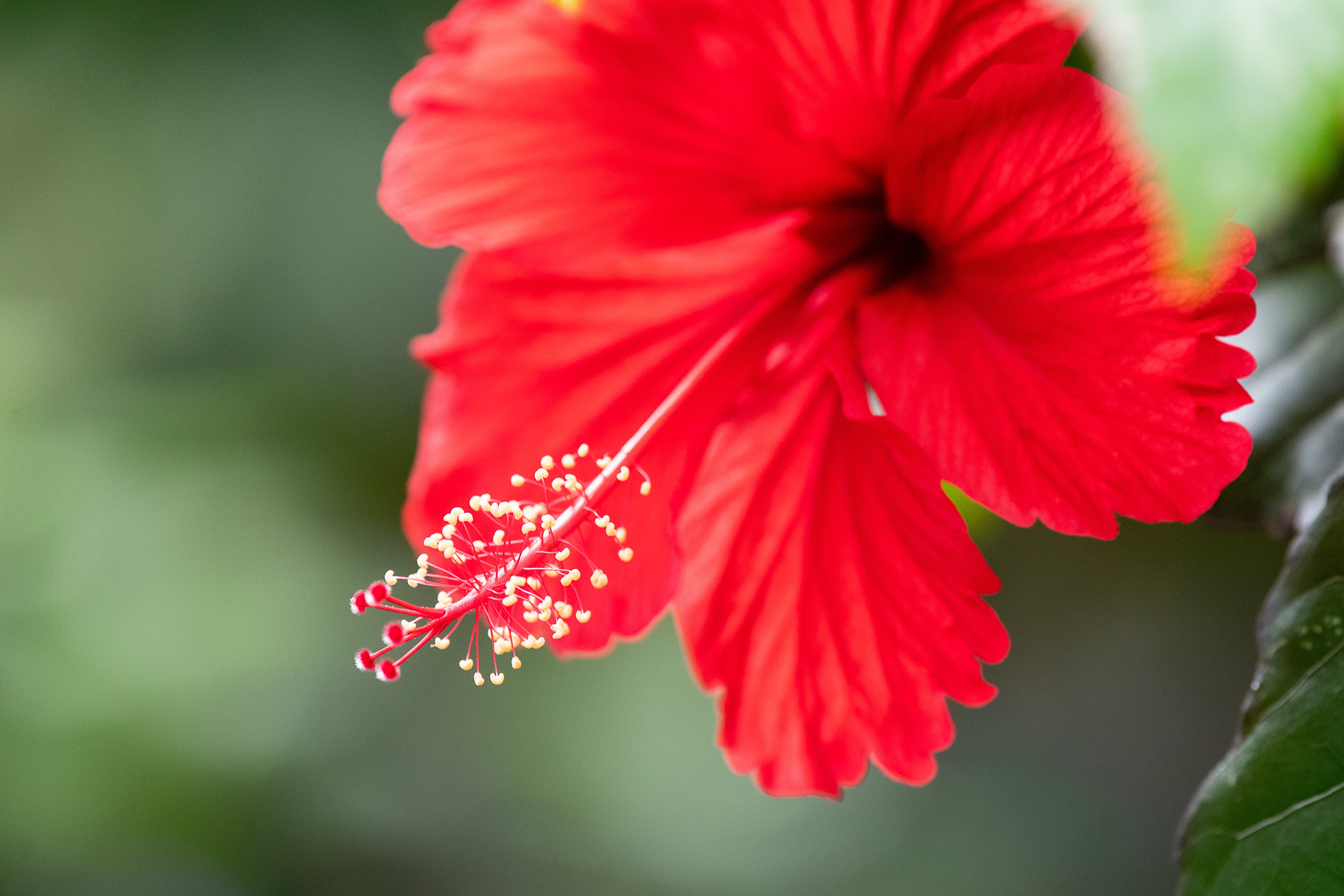 220913-Charleston-Corporate-Photographer-0118