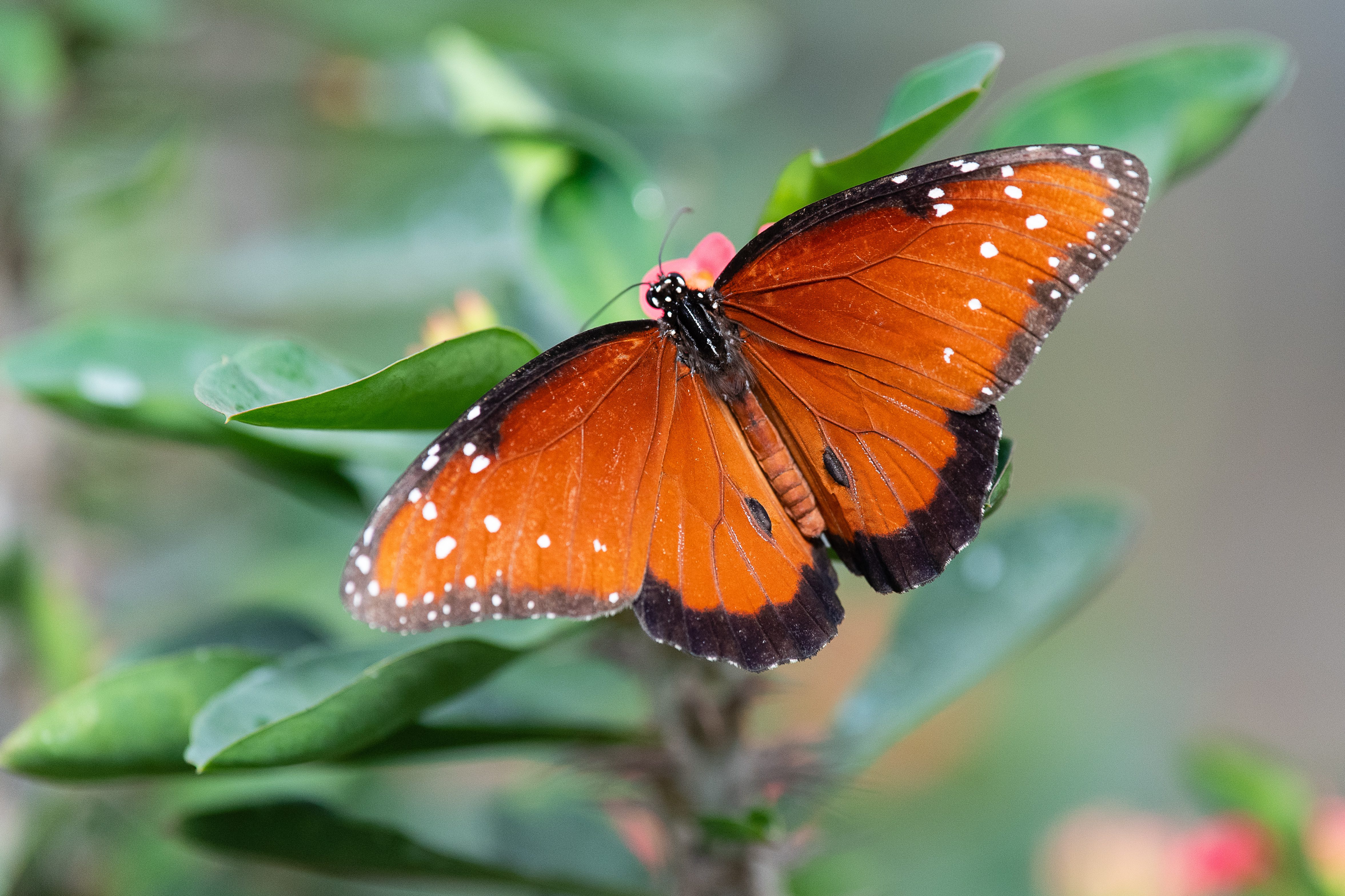 220913-Charleston-Corporate-Photographer-0119