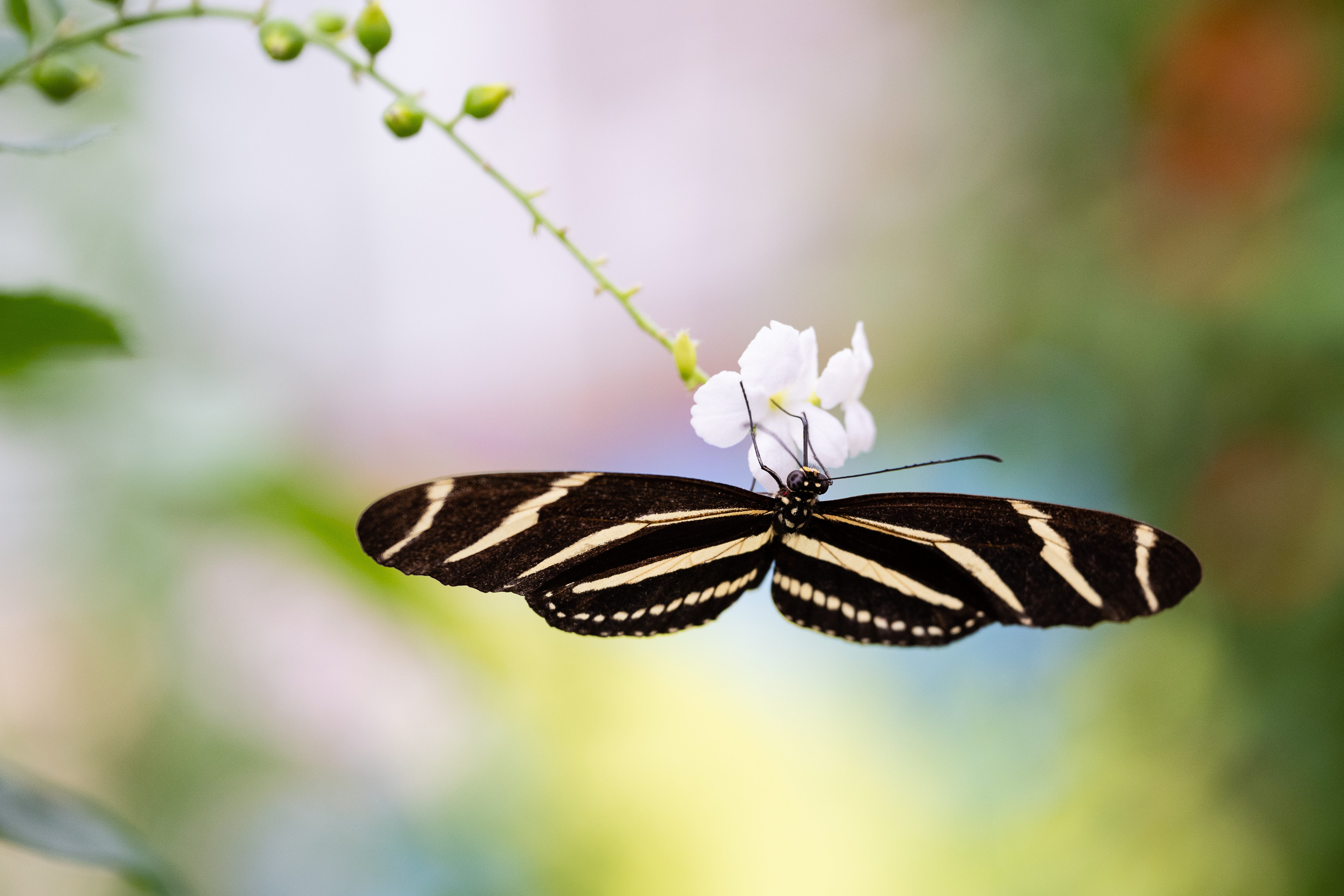 220913-Charleston-Corporate-Photographer-0126